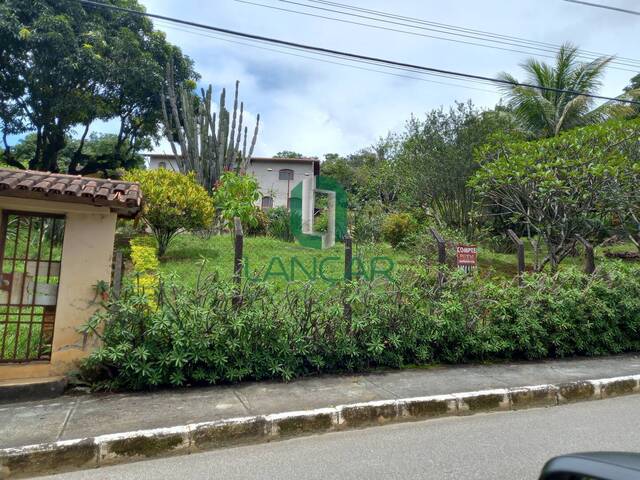#L0122 - Sítio para Venda em São José da Lapa - MG - 3