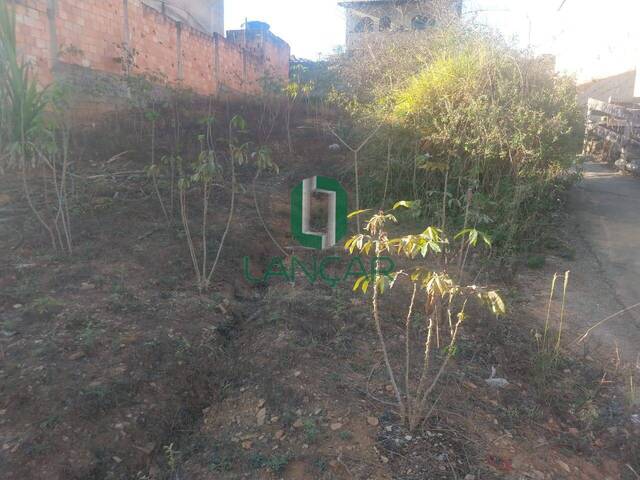 Lote para Venda em Vespasiano - 5