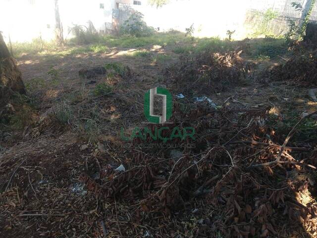 Lote para Venda em Vespasiano - 4