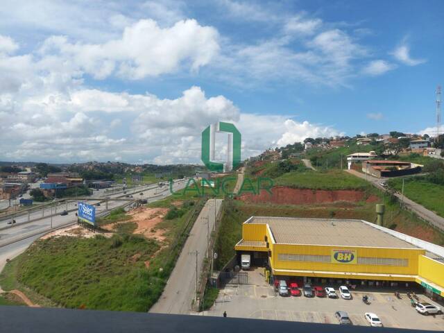 Apartamento para Locação em Belo Horizonte - 5