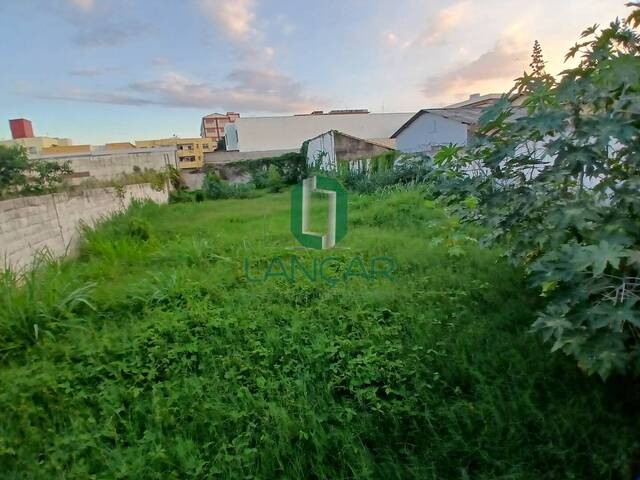 Lote para Venda em Vespasiano - 4