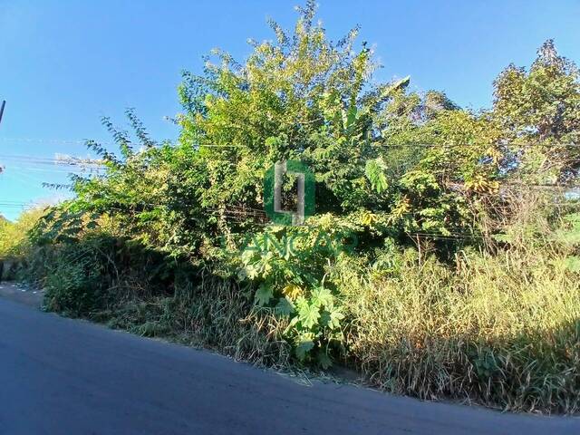 Área para Venda em Vespasiano - 4