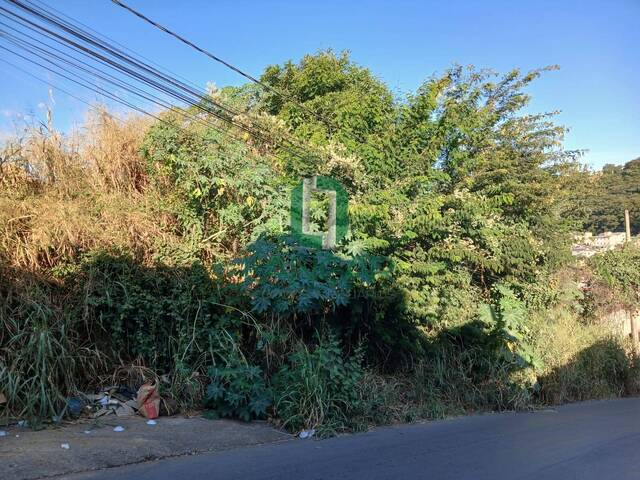 Área para Venda em Vespasiano - 3