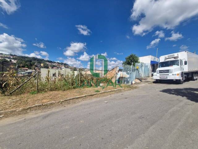 #L0429 - Lote para Venda em São José da Lapa - MG - 3