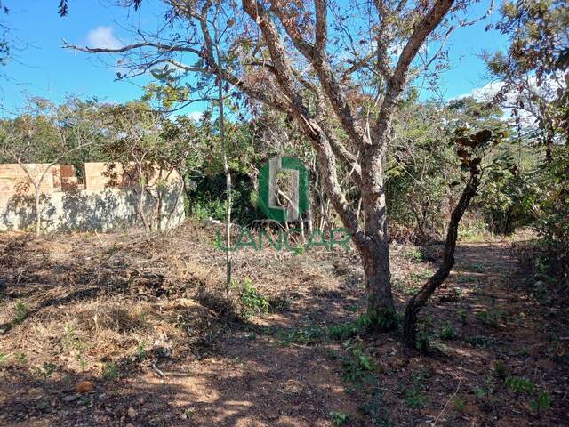 Lote para Venda em Lagoa Santa - 3