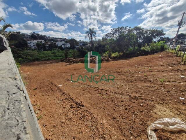 #L0467 - Lote para Venda em São José da Lapa - MG - 3